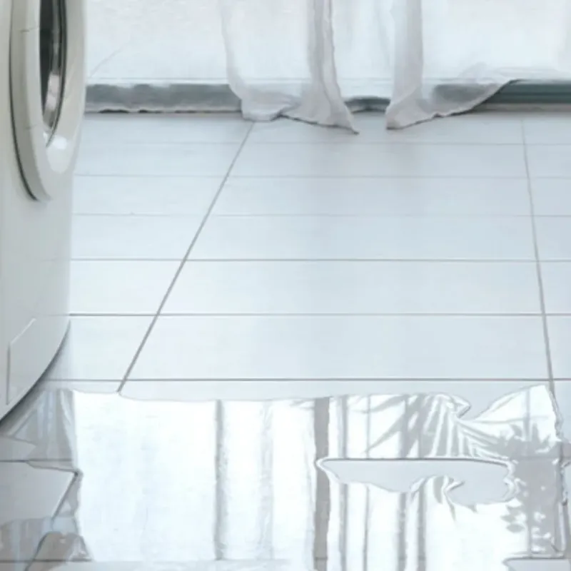 Appliance Leak Cleanup in Spalding County, GA