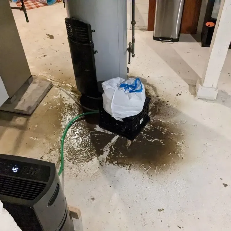 Sewage Backup Cleanup Service in Spalding County, GA